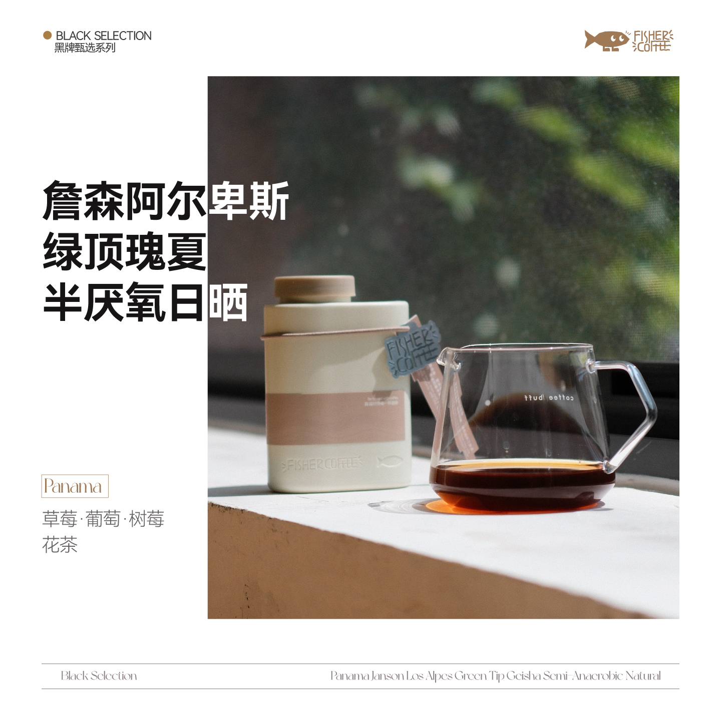 巴拿马詹森庄园绿顶瑰夏咖啡豆