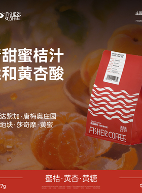 FISHER 哥斯达黎加唐梅奥奇迹地块莎奇摩黄蜜处理手冲咖啡豆 227g