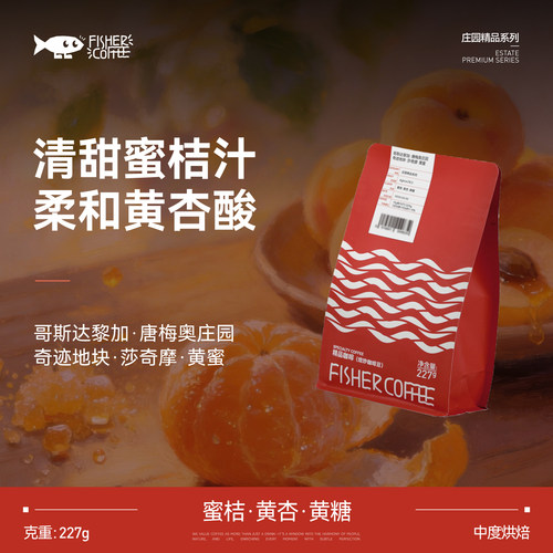 哥斯达黎加唐梅奥莎奇摩黄蜜处理
