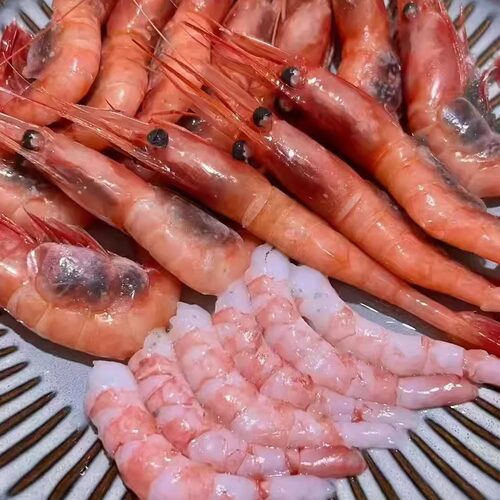 冰山甜虾带籽虾日料寿司刺身北极