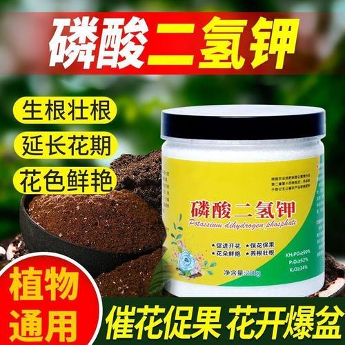 家庭园艺磷酸二氢钾肥料