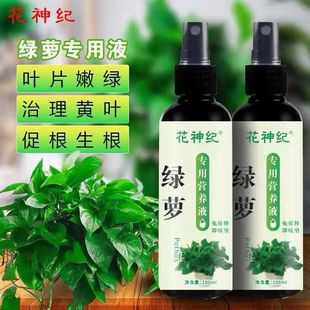 植物营养液家用养花花卉绿萝水培水培土植绿植盆栽液体肥料绿箩用