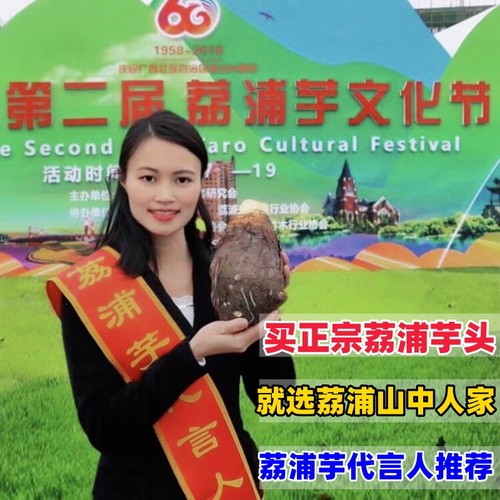 正宗荔浦芋头广西桂林特产新鲜现挖槟榔香芋毛芋农家生鲜时令蔬菜 - 封面