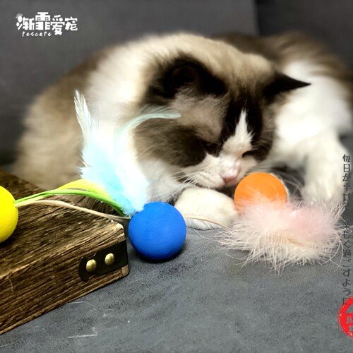 PawsHolic爪迷猫玩具球 自嗨解闷羽毛弹球糖果毛毛球陪玩静音耐咬