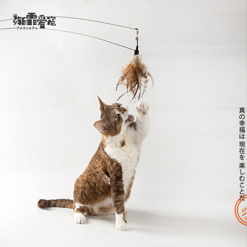 逗猫棒大羽毛替换头带铃铛猫玩具
