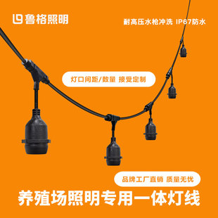 鲁格防水灯口串线户外防雨E27螺口灯座养殖场种植大棚led灯电源线