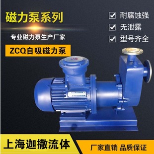 ZCQ100 160家用电动不锈钢磁力泵防爆耐腐蚀酸碱无泄漏化工泵