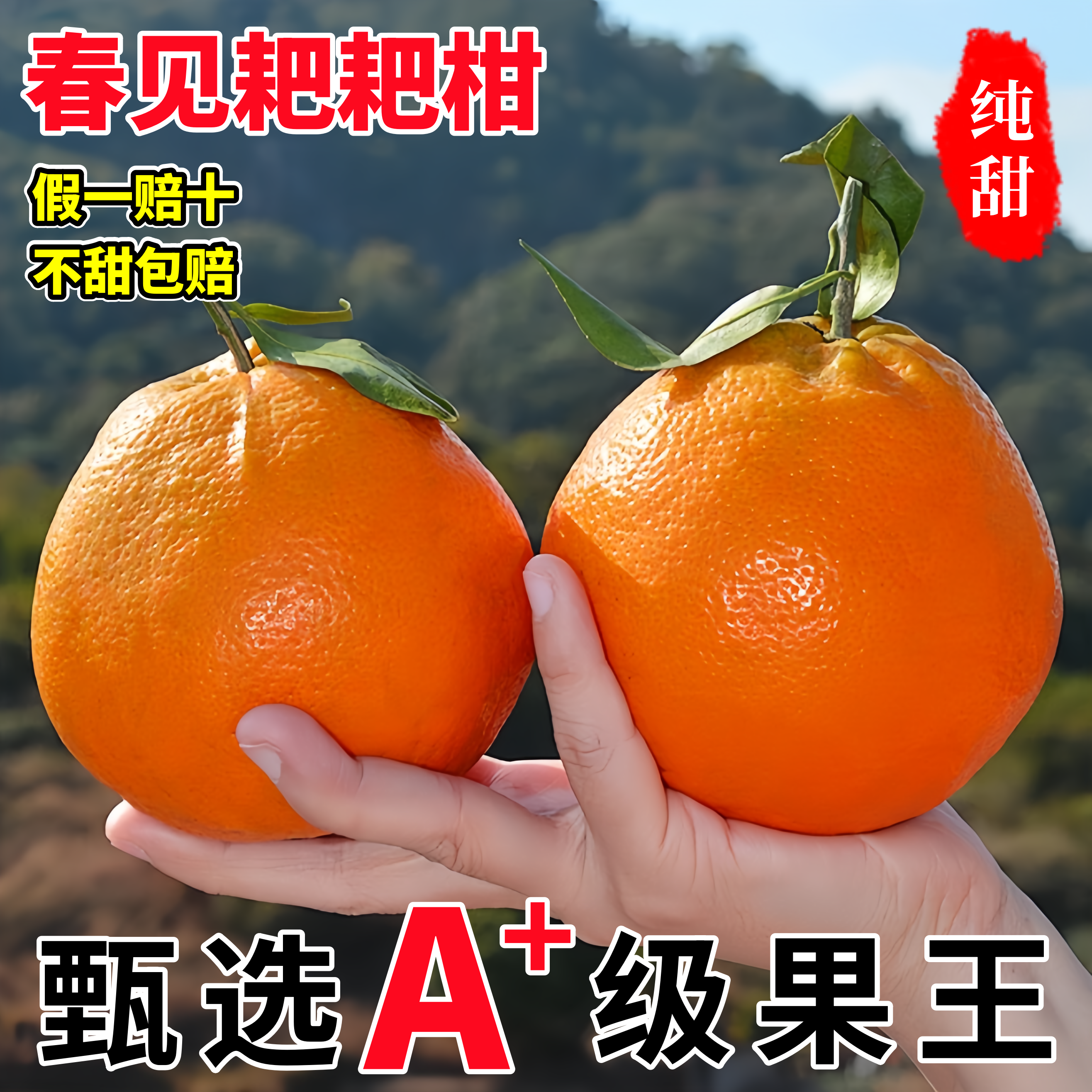 四川春见耙耙柑粑粑柑10斤橘子甜当季整箱杷杷新鲜水果丑柑桔年货