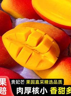 攀枝花小贵妃芒果当季现摘包邮