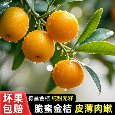 四川大凉山德昌脆蜜金桔脆蜜金柑
