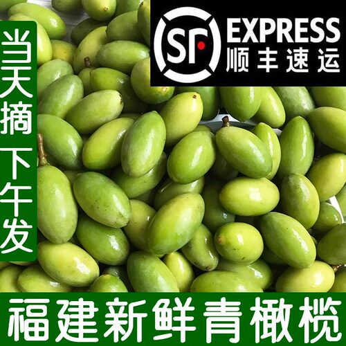 26现摘新鲜橄榄檀香青橄榄福州货