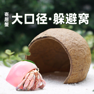 寄居蟹躲避屋窝～家小房子攀爬减压洞穴 多尺寸可选 大号小号造景