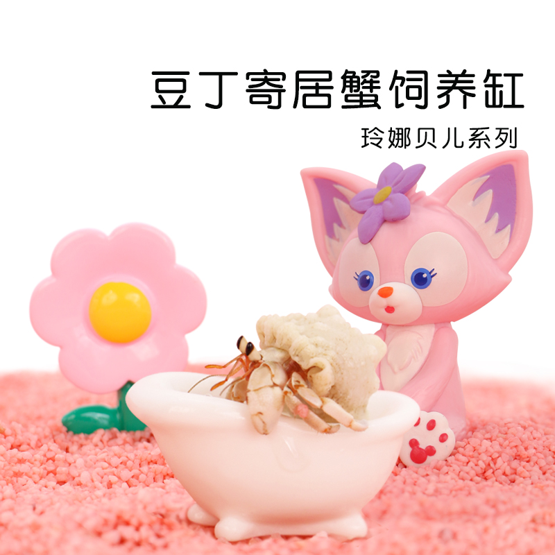 陌派可爱豆丁寄居蟹饲养套装套餐~饲养盒箱办公桌面萌宠儿童礼物
