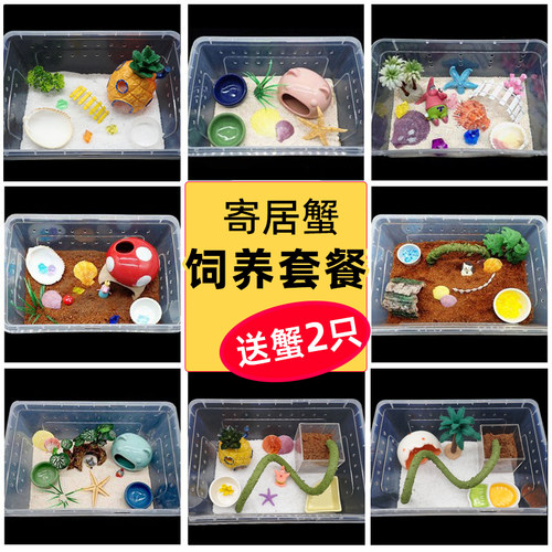 寄居蟹新手套餐饲养箱盒～饲养用品 相守蟹套装桌面宠物儿童礼物