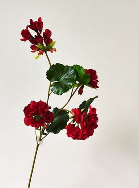 仿真花 手感天竺葵海棠花复古红色 多头小丽花 玉墨小丽花 新款