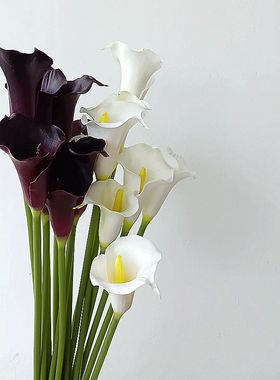 高质感仿真花 马蹄莲 手感PU白色紫色海芋百合软装拍摄家居摆饰