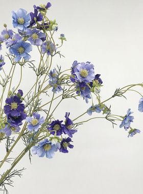 仿真波斯菊 紫蓝色格桑花 蓝紫色系仿真花 品质 摄影道具长枝多头