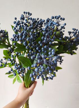 仿真蓝莓果浆果假水果假花艺术插花摄影拍摄道具单枝小果水果树枝