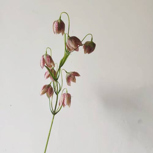 仿真花贝母花假花家居装饰花艺摆件餐桌插花摄影道具花材花束