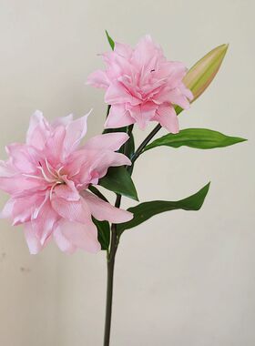 星期6重瓣室内中国百合枝粉手感1