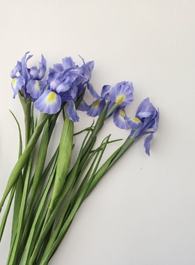 品质假花鸢尾店长强推仿真紫色鸢尾 外出拍摄道具 家居插花摆件