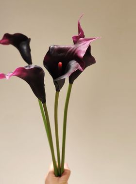 海芋仿真花马蹄莲紫色手感假花大号高档装饰摄影插花绢花插花配材