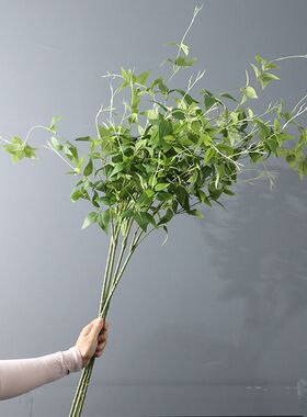 仿真植物 铁线莲叶子 绿色 叶材 手捧花配材 花艺 造景 家居 装饰
