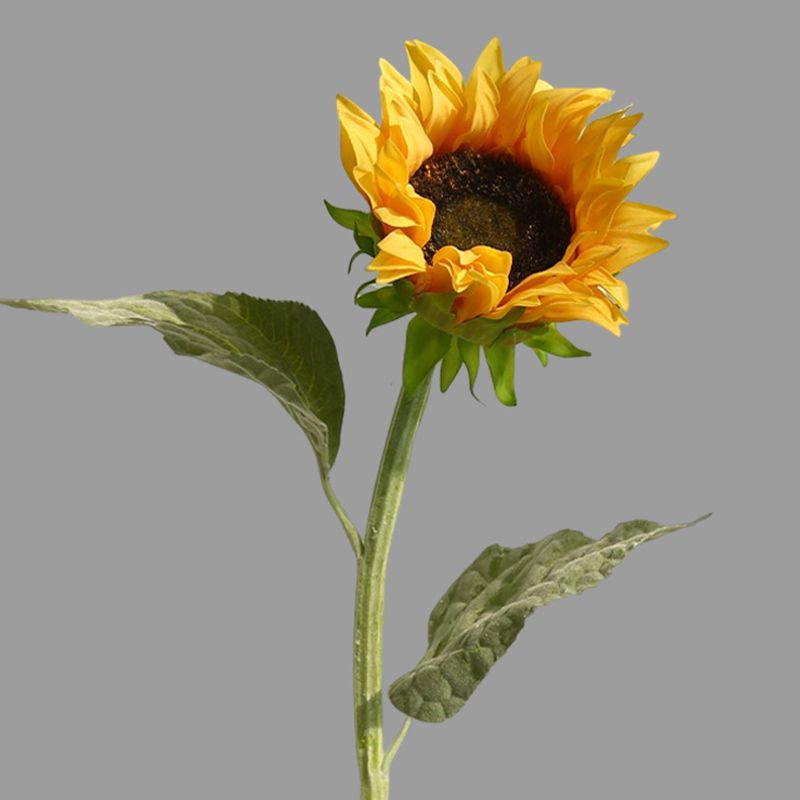 星插花手捧中国向日葵枝黄手感1