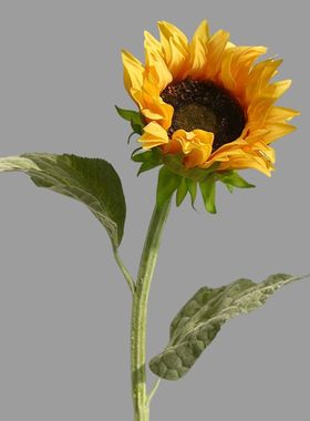 手感保湿向日葵仿真花束摆件太阳花干花手捧花假花客厅落地装饰插