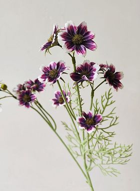 仿真花格桑花小雏菊太阳花花艺装置商业花艺素材白色蓝色紫色飘逸