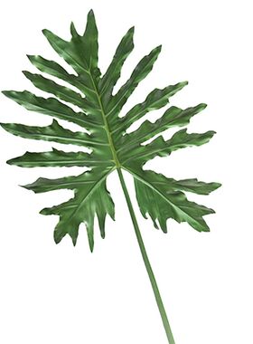 植超大春羽叶子仿真植
