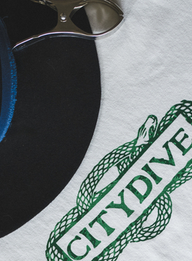 CITYDIVE Year Of The Snake重磅廓形蛇年限定印花纯棉短袖T恤