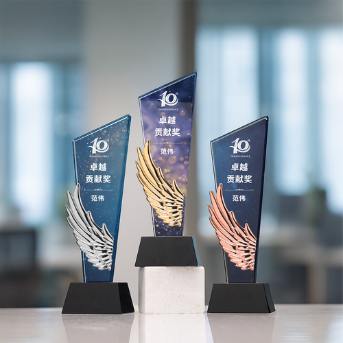 水晶奖杯定制定做翅膀金属金银铜学生公司年会比赛周年纪念退休