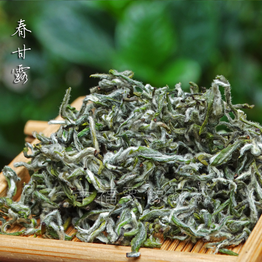 蒙顶春甘露碧螺春系列高山绿茶1特色产区绿茶