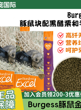Burgess布格斯英国进口黑加仑牛至薄荷鼠粮 豚鼠粮饲料成豚幼豚粮