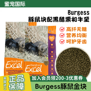 Burgess布格斯英国进口黑加仑牛至薄荷鼠粮 豚鼠粮饲料成豚幼豚粮