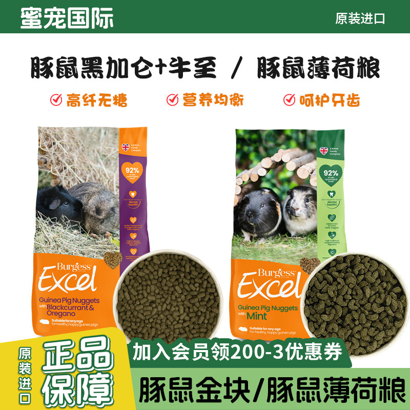 Burgess布格斯英国进口黑加仑牛至薄荷鼠粮 豚鼠粮饲料成豚鼠干粮