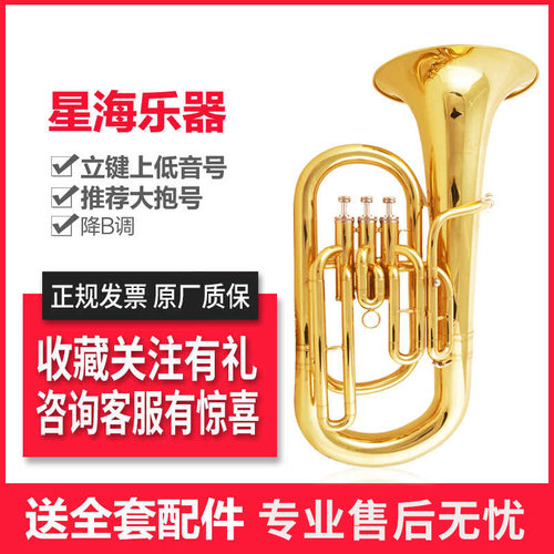 上低音号乐器 降B调立键三键专业大抱号铜管乐器 大号JBEP-1180 - 封面