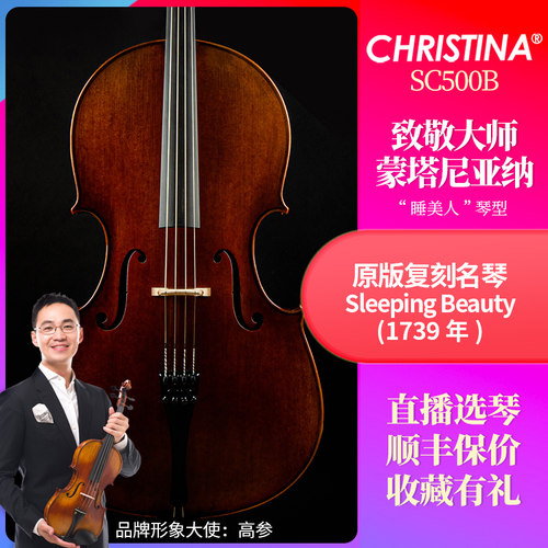克莉丝蒂娜大提琴进口欧料