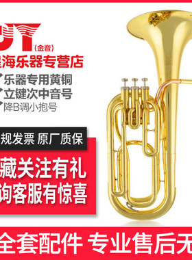 金音立健次中音号降B调乐器初学成人演奏乐器JYBT-E100G漆金抱号