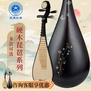星海琵琶精选硬木系列儿童成人初学考级专业琵琶897EXY金灿祥云