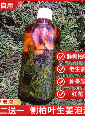 鲜侧柏叶泡酒精生姜骨碎补红花护发长发液抗掉中药材密发养发水