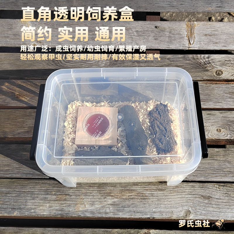 独角仙锹甲透明饲养盒甲虫造景箱