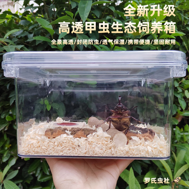 高清透独角仙锹甲虫生态饲养盒箱