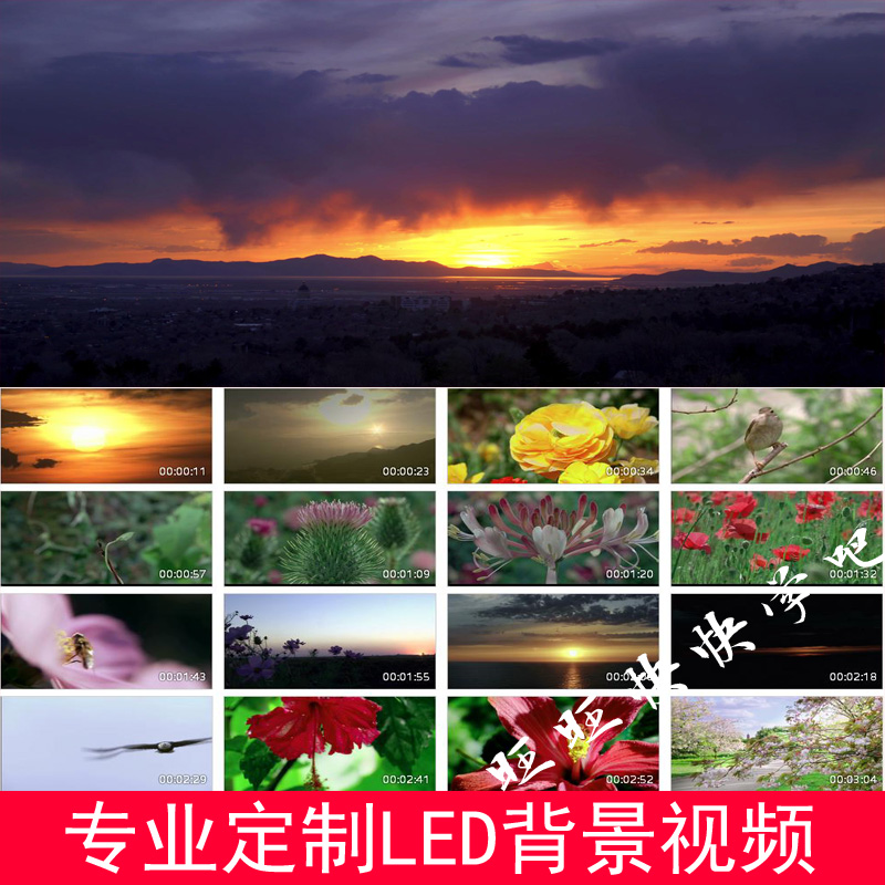 青春舞曲配乐舞台演出LED大屏幕背景视频