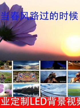 当春风路过的时候伴奏背景视频240920LED大屏幕高清背景视频素材