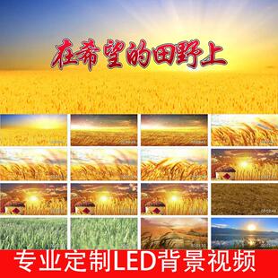 殷秀梅 - 在希望的田野上 (伴奏)降调24101大屏幕高清背景视频