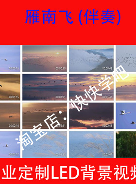 刘紫玲 - 雁南飞  视频231225舞台演唱LED大屏幕高清背景视频素材