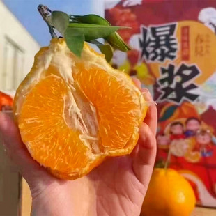 果获仁心江宁众彩新鲜水果品牌寸金地金钱豹春见粑粑柑顺丰包邮