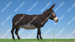 c4d驴obj模型三维3d模型骨骼绑定动画素材fbx格式c4d3dsmaxmaya驴